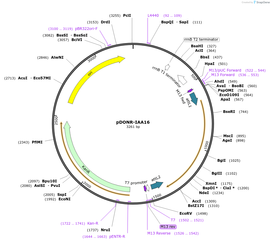 160257_map