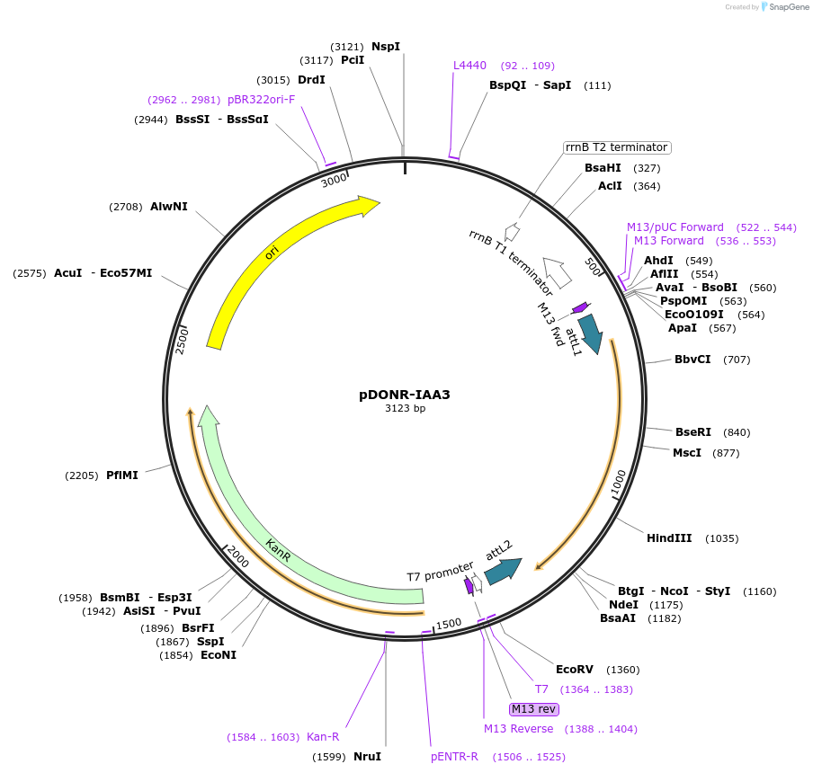 160264_map