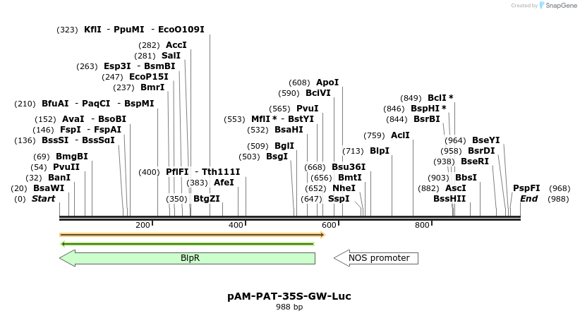 160282_map