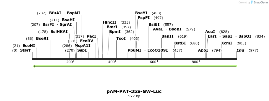 160283_map