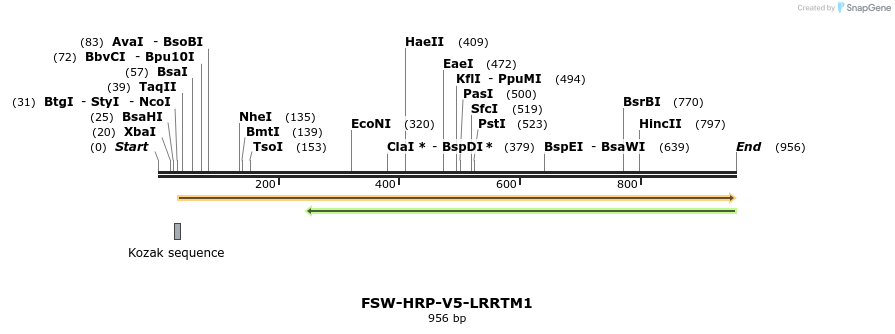 160284_map