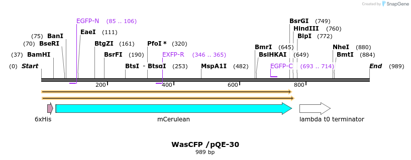 160288_map