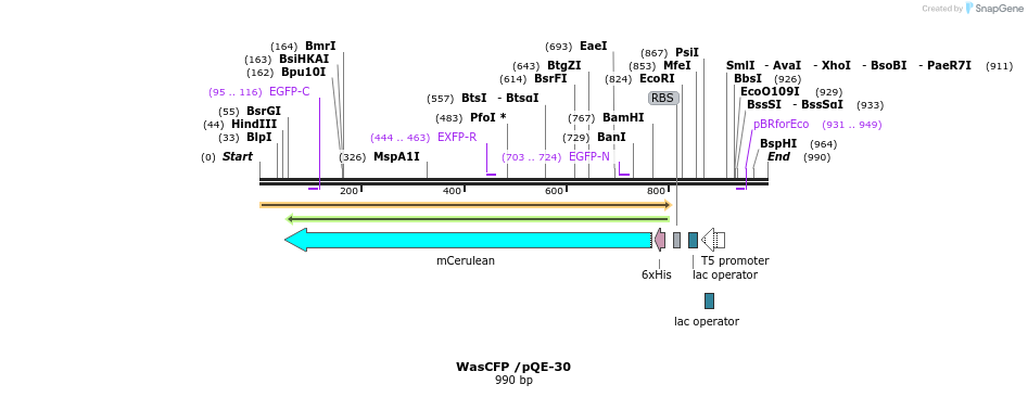 160289_map