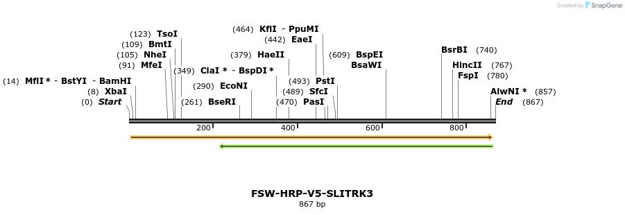 160292_map