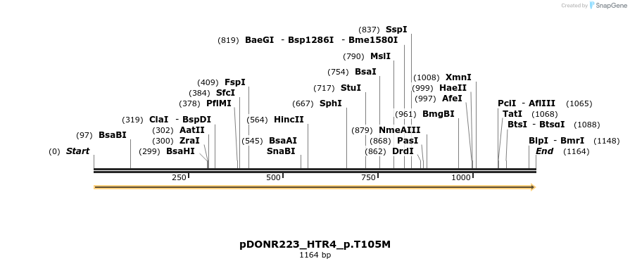 160306_map