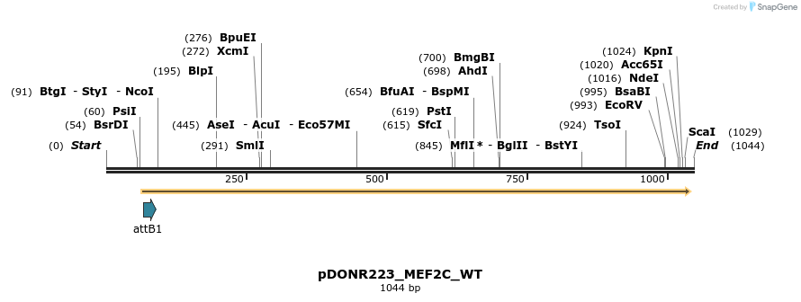 160309_map