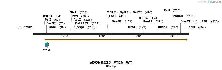160316_map