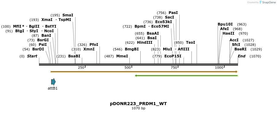 160328_map