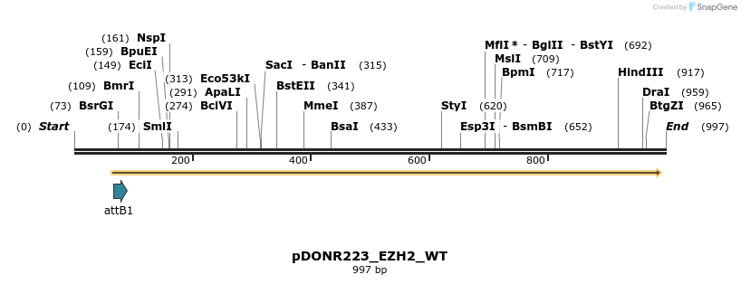 160332_map