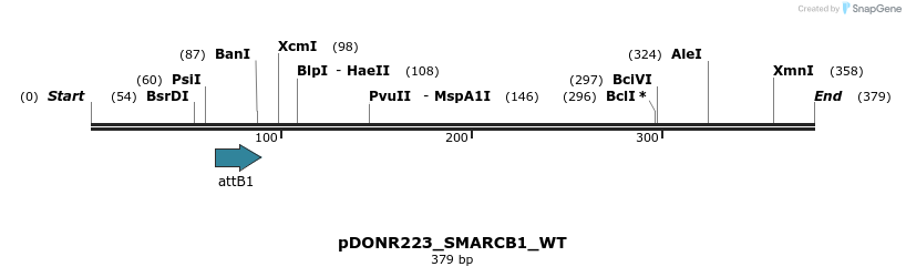 160333_map