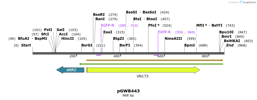 160336_map