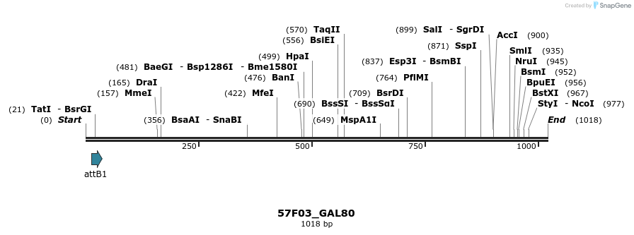 160357_map