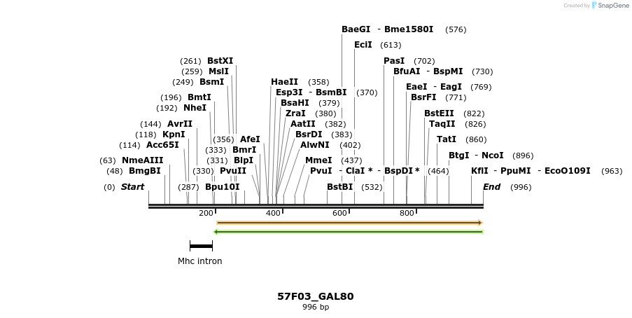 160359_map