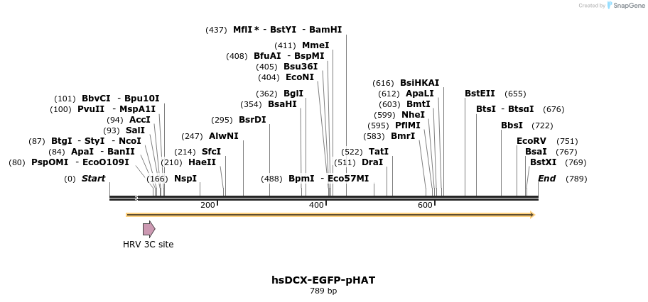 160366_map