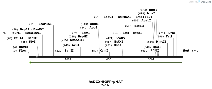 160367_map