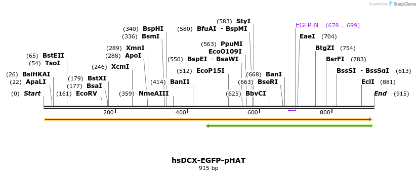 160368_map