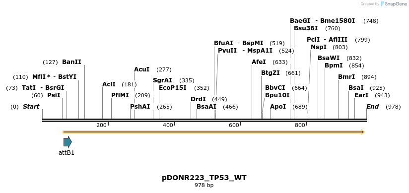 160384_map