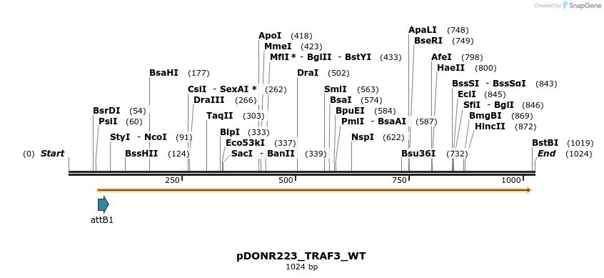 160386_map
