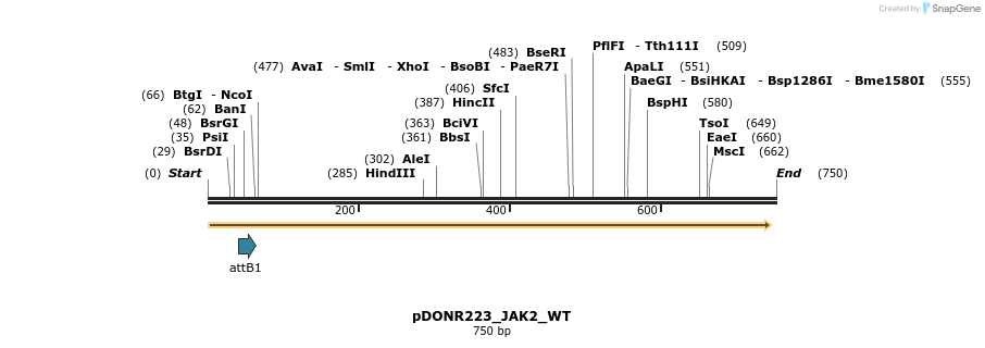 160388_map