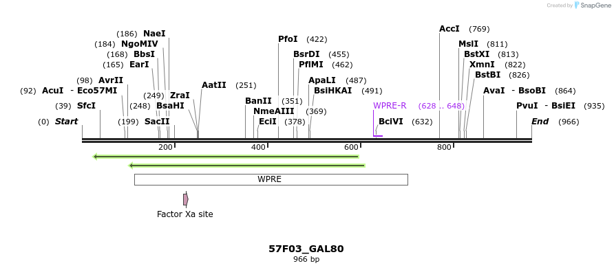 160389_map