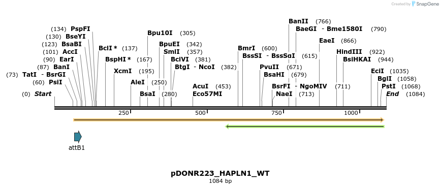 160390_map
