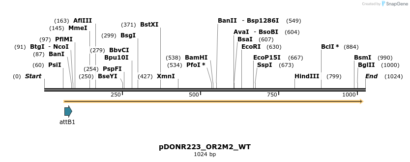 160391_map