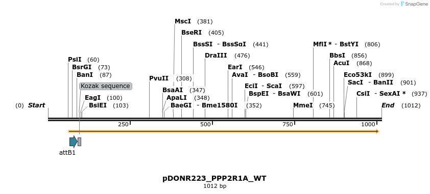 160393_map