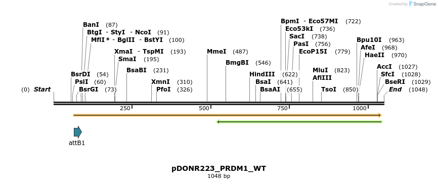 160394_map