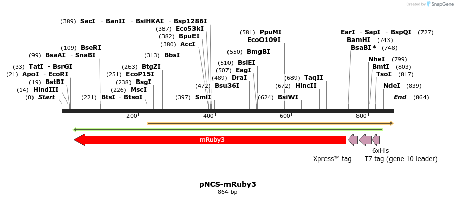 160397_map
