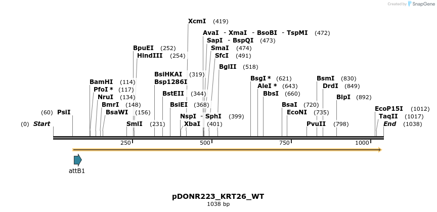 160398_map