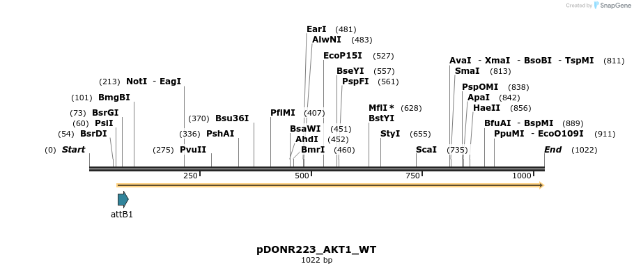 160399_map