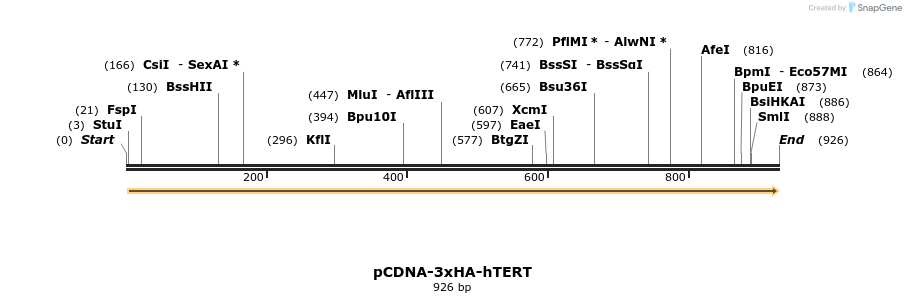 160404_map