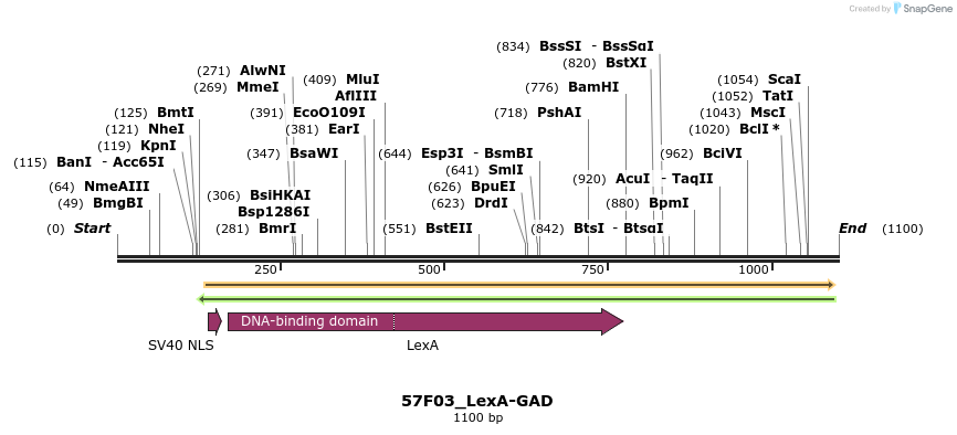 160406_map