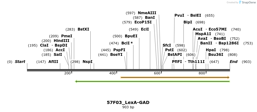 160409_map