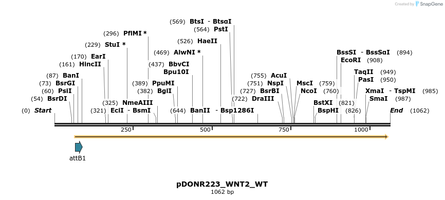 160413_map
