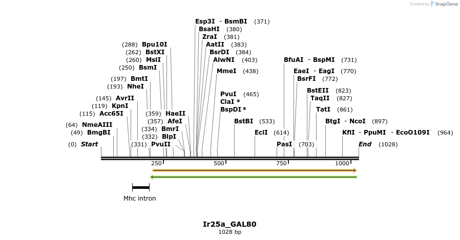 160416_map