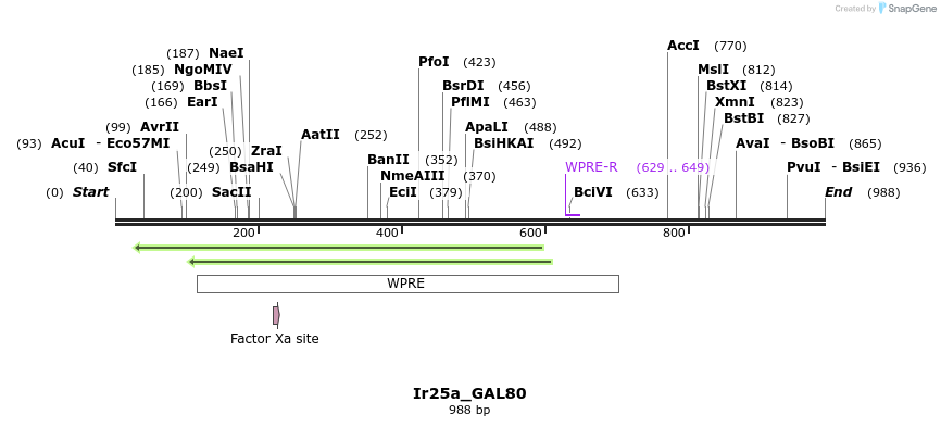 160448_map