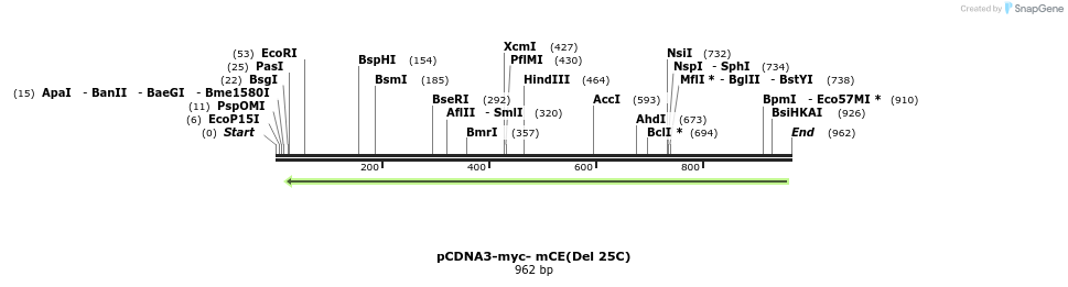 160454_map