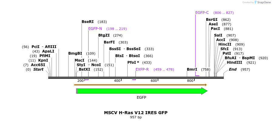 160456_map