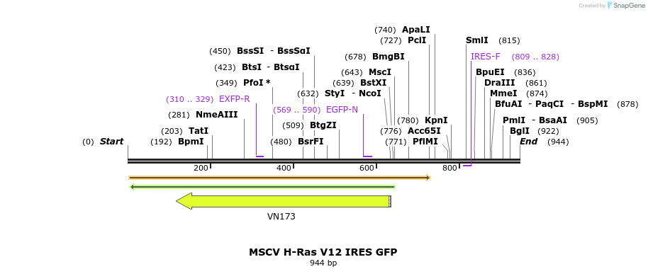 160458_map
