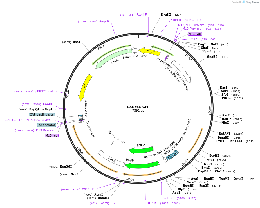 160465_map