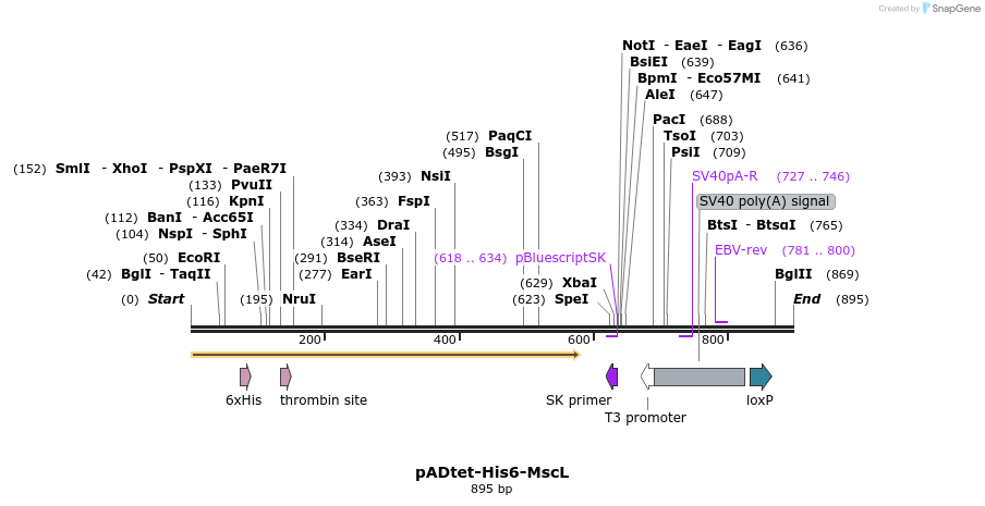 160477_map