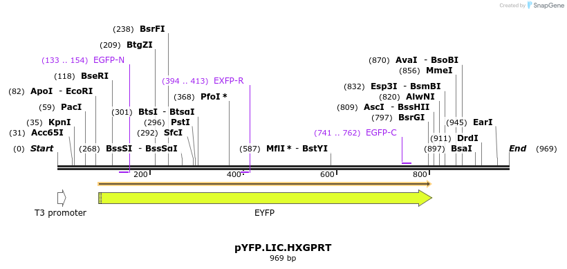 160485_map