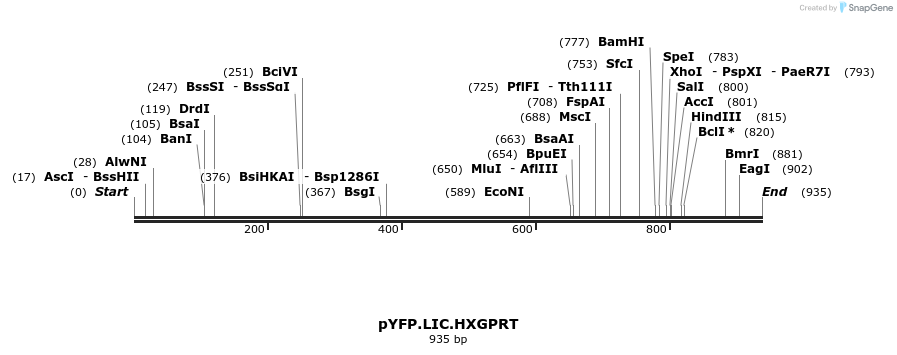 160488_map