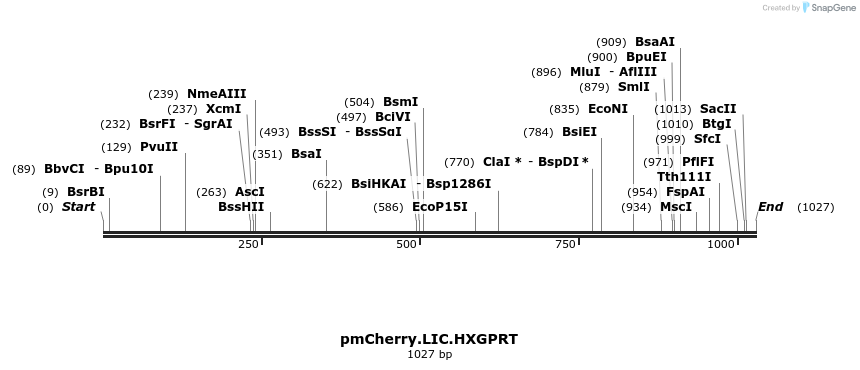 160490_map