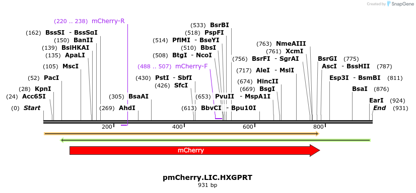 160491_map