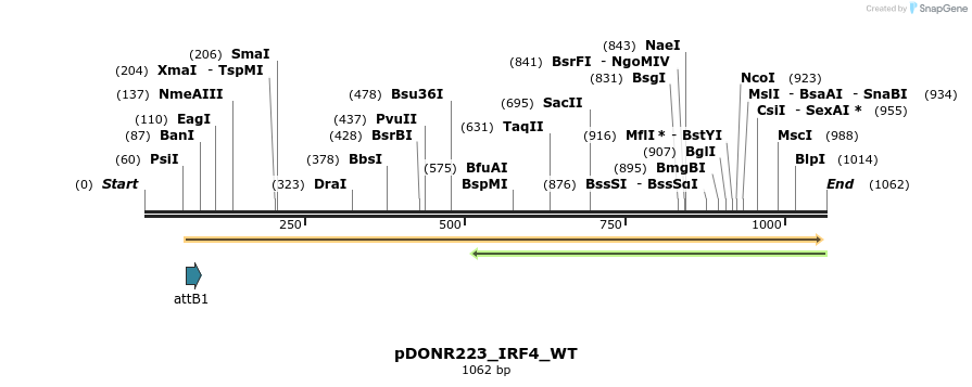 160495_map