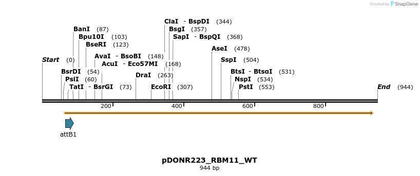 160498_map