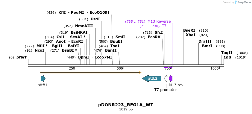 160499_map