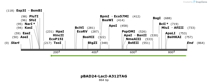 160520_map